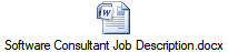 Software Consultant Job Description.docx