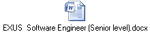 EXUS  Software Engineer (Senior level).docx